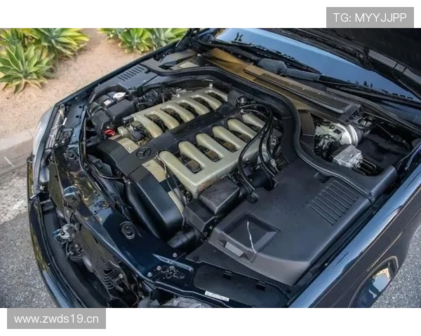 徐嘉余又买了辆天价跑车，游泳冠军居然这么壕？